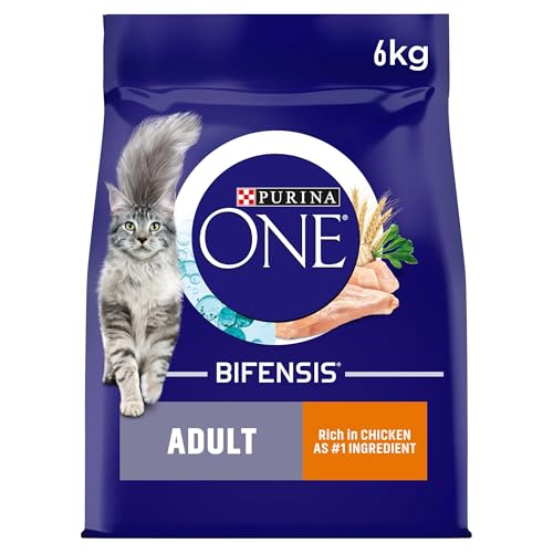 Purina ONE Adult Dry Cat Food - 6kg